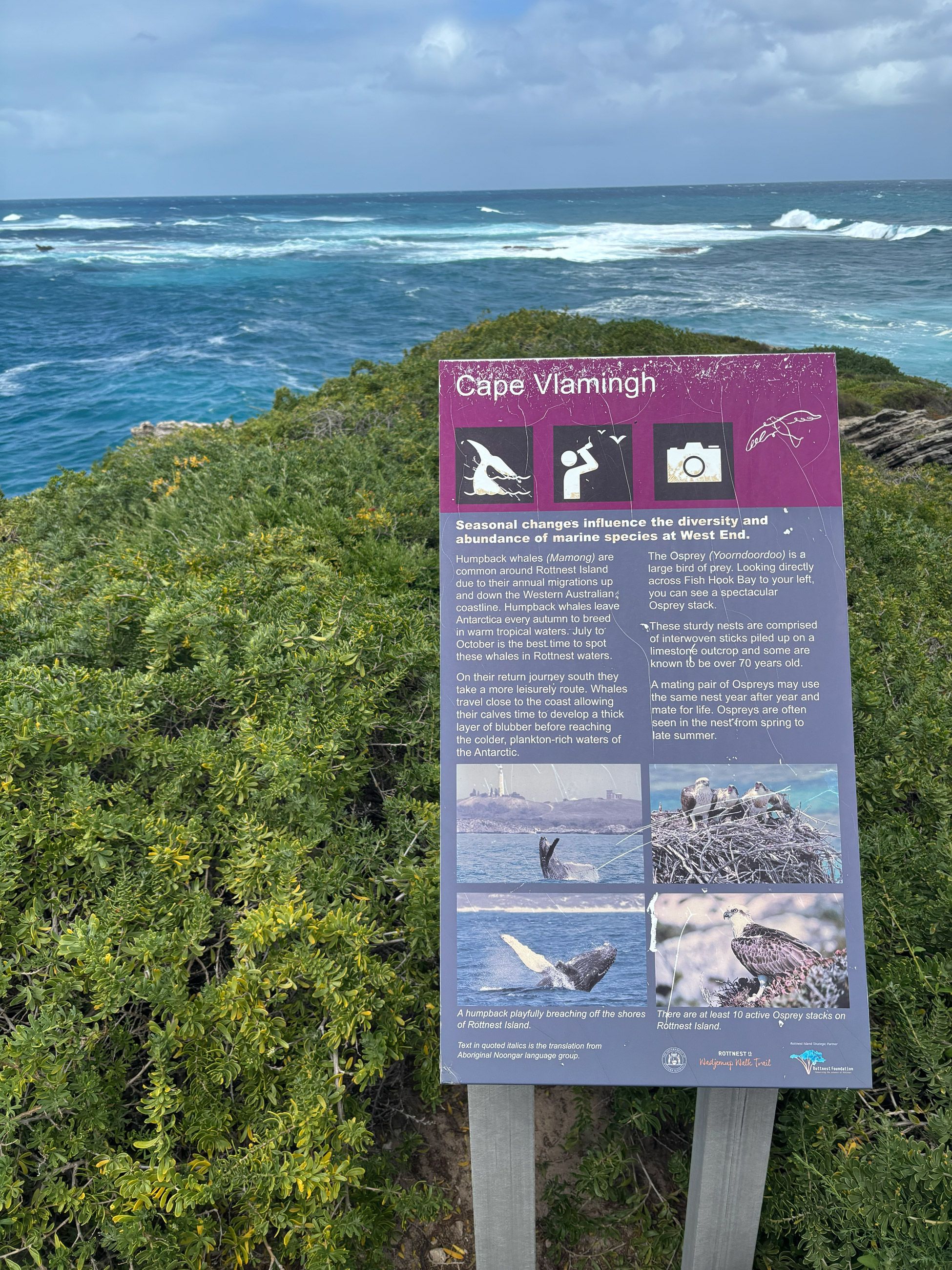 Cape Vlamingh
