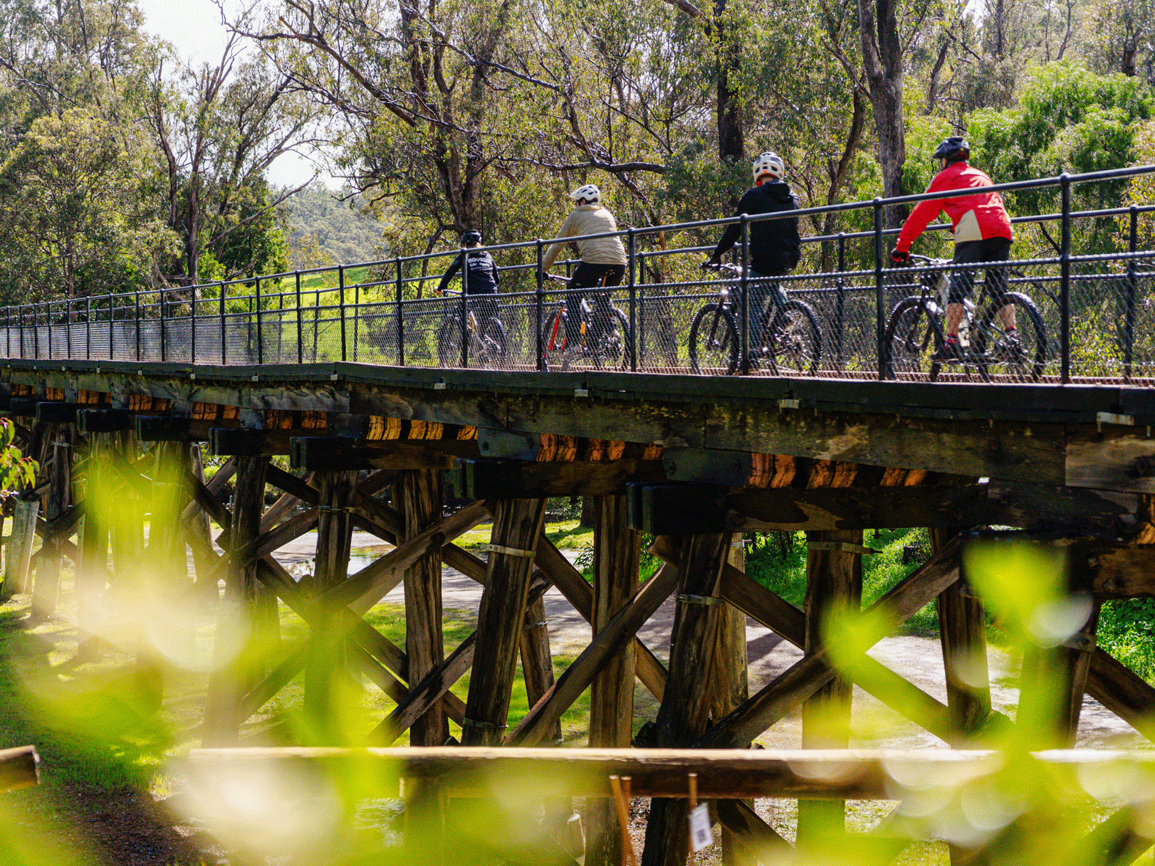 nannup trails