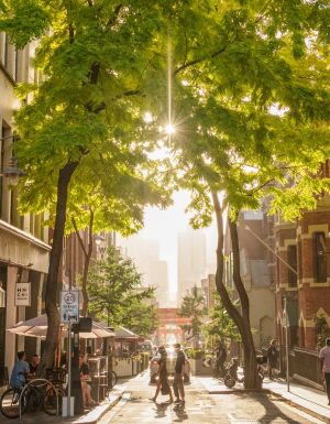 Little Bourke Street In Melbourne