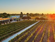 Australia’s second-oldest wine region is also one of its best