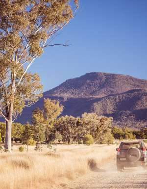 car driving around moree road trip