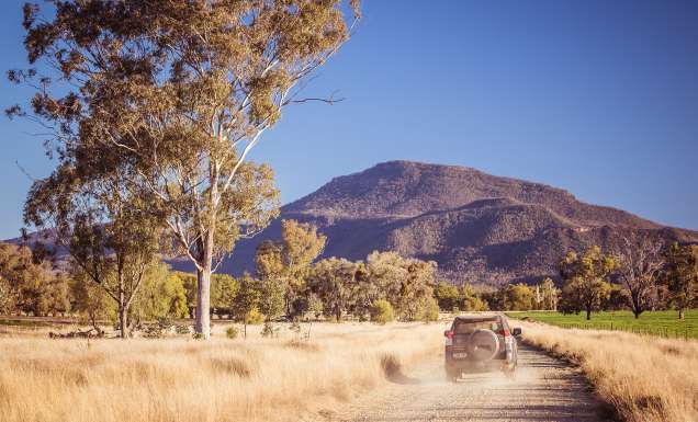 car driving around moree road trip