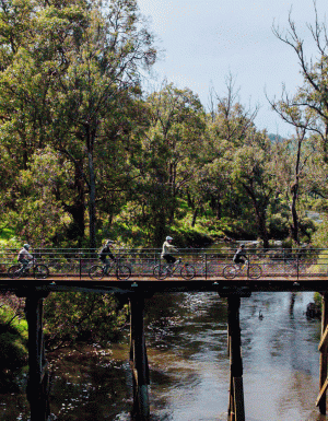 WA’s newest Trail Town is home to 100km of forest tracks