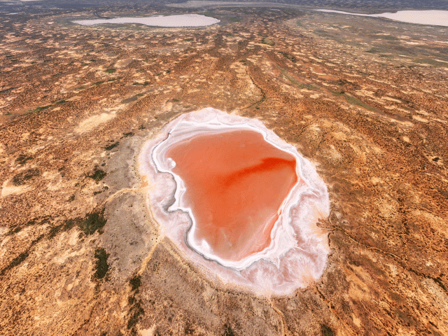 nsw pink lakes