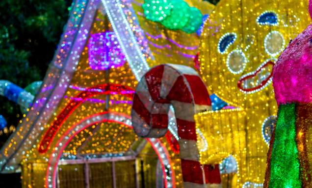 Hunter Valley christmas lights display