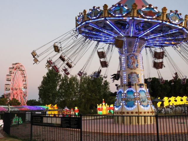 Hunter Valley christmas lights